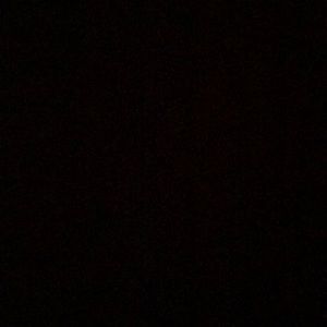 Meet your Posher, Willow